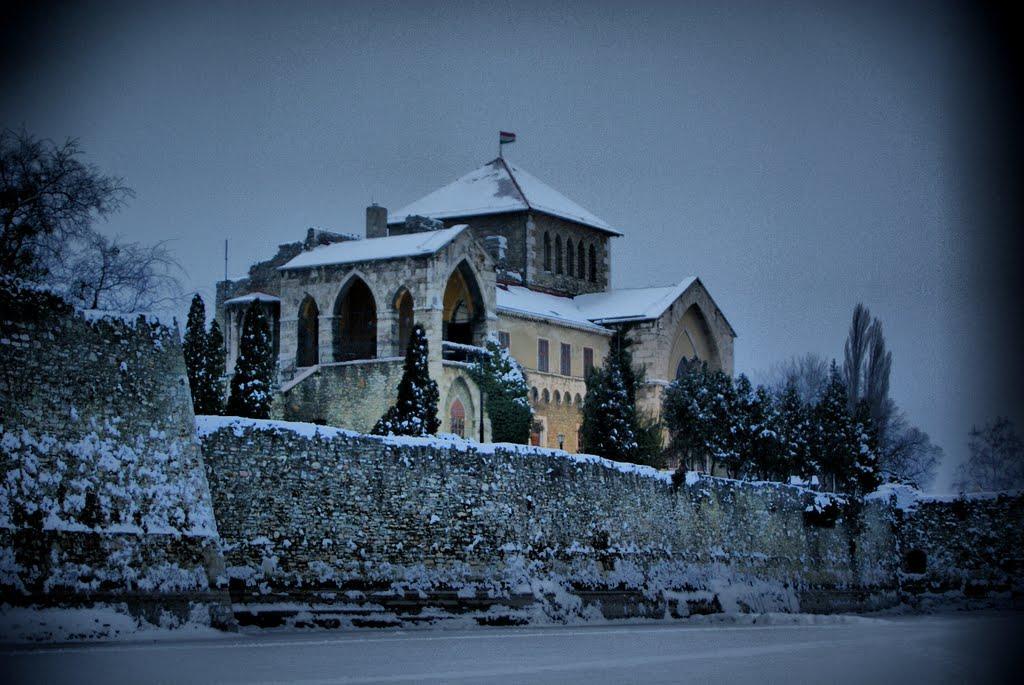 Sirály Panzió Tópart Tata Exterior foto